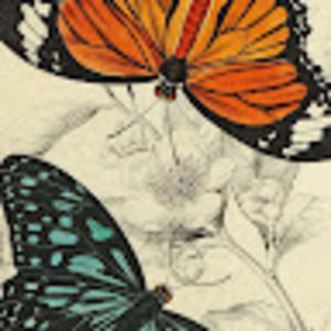 Meet your Posher, Marissa